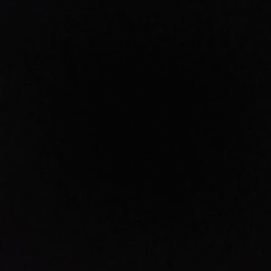 Meet your Posher, Joey